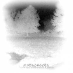 Twelve Distinct Structural Concerns